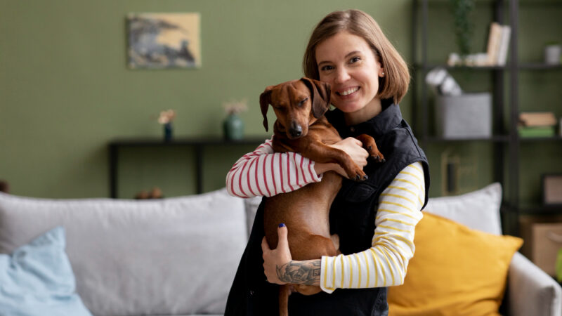 Como adaptar a casa para receber um novo animal de estimação