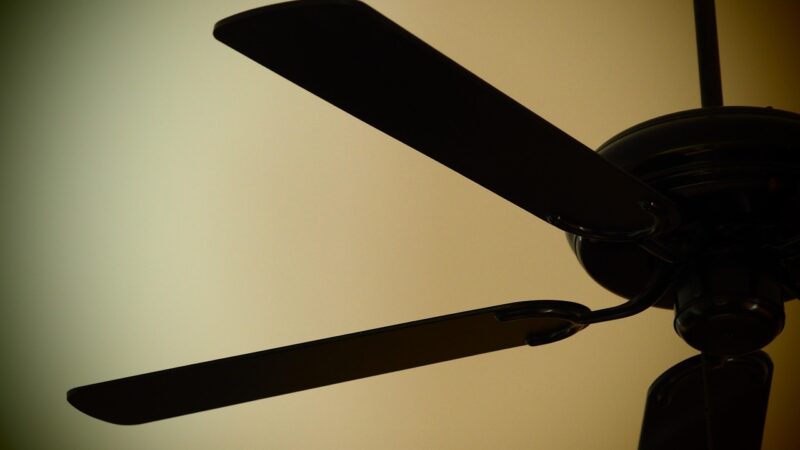Descubra por que as vendas de ventilador de teto dispararam nos últimos meses