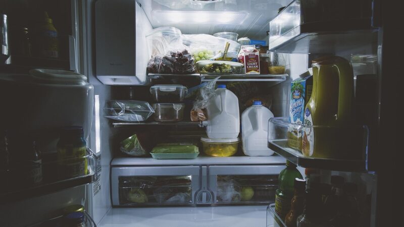 Geladeira duplex ou inverse: qual organiza melhor os alimentos no dia a dia?