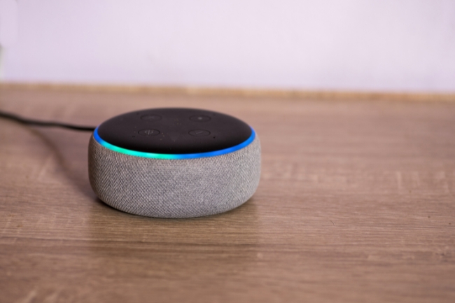 Echo Show ou Nest Hub? Veja qual assistente inteligente entrega mais pelo preço