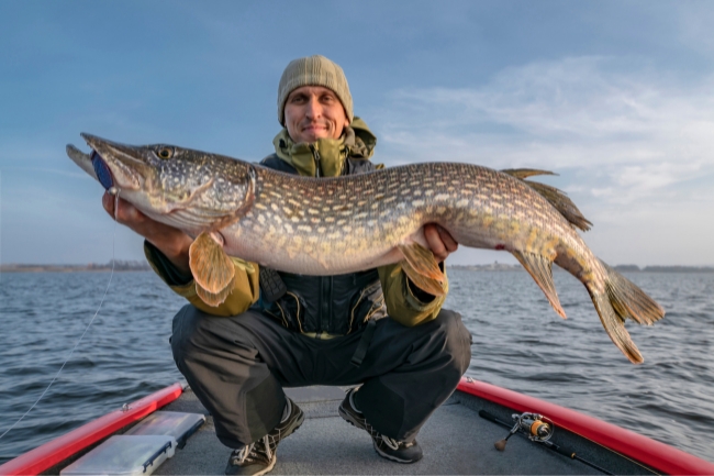 Sonhar pegando peixe com a mão: 5 significados que vão te encantar hoje