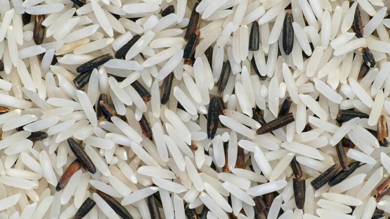 Sonhar com arroz: 5 interpretações que trazem prosperidade e abundância