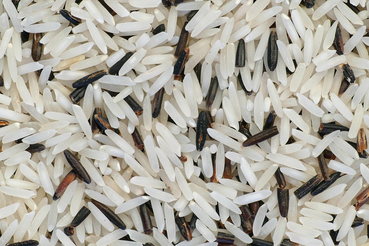 Sonhar com arroz: 5 interpretações que trazem prosperidade e abundância