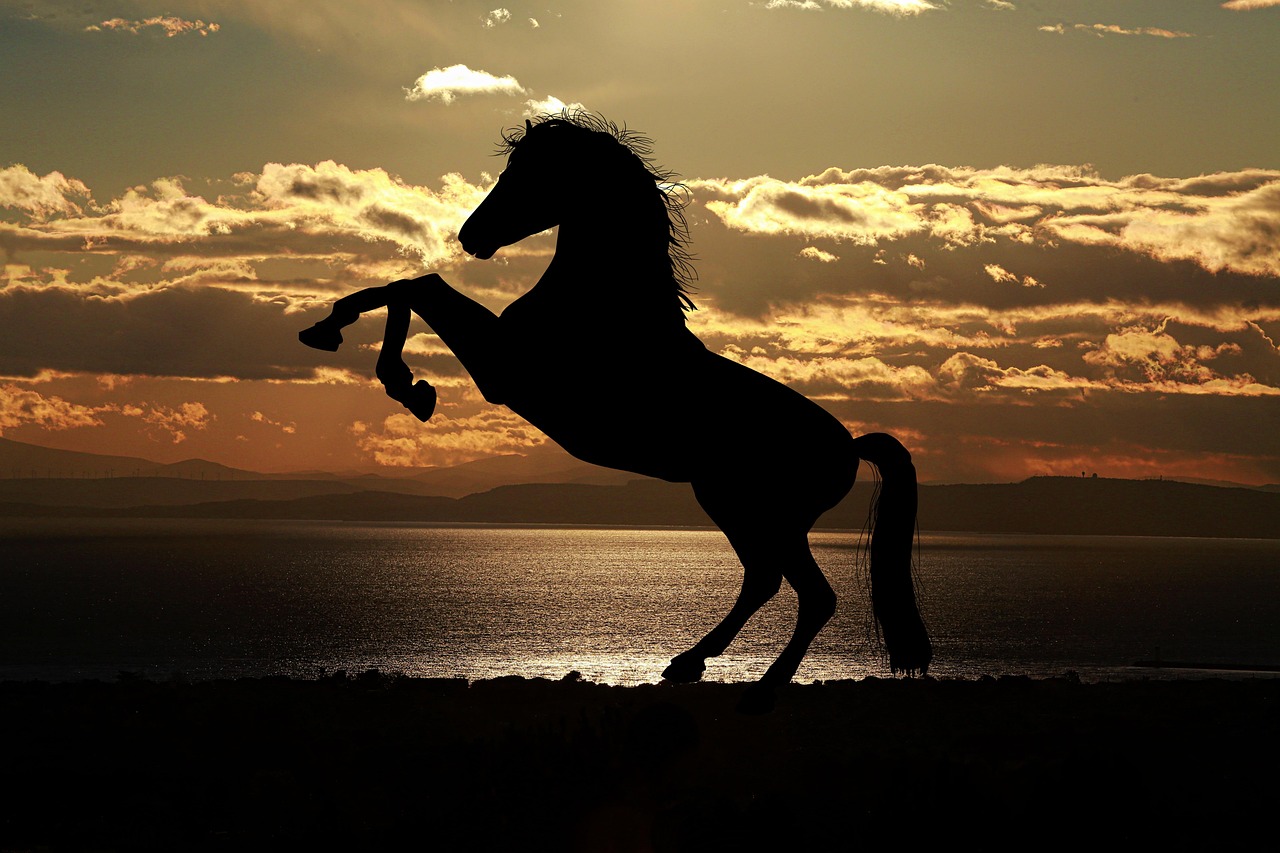 Sonhar com cavalo: 5 mensagens de força que vão galopar em sua vida