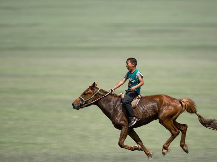 Sonhar com cavalo correndo: 5 significados de energia e liberdade