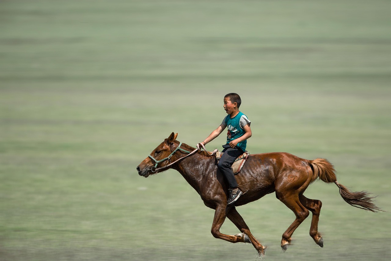 Sonhar com cavalo correndo: 5 significados de energia e liberdade