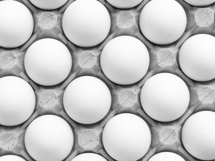 Sonhar com ovo branco: 5 interpretações que simbolizam novos começos