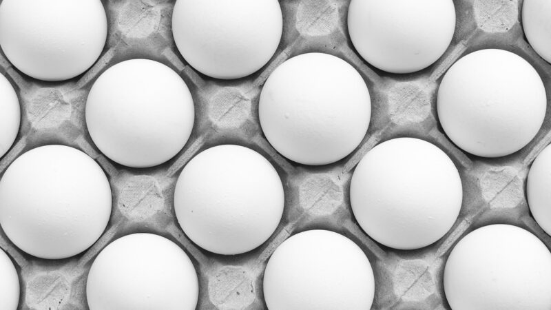 Sonhar com ovo branco: 5 interpretações que simbolizam novos começos