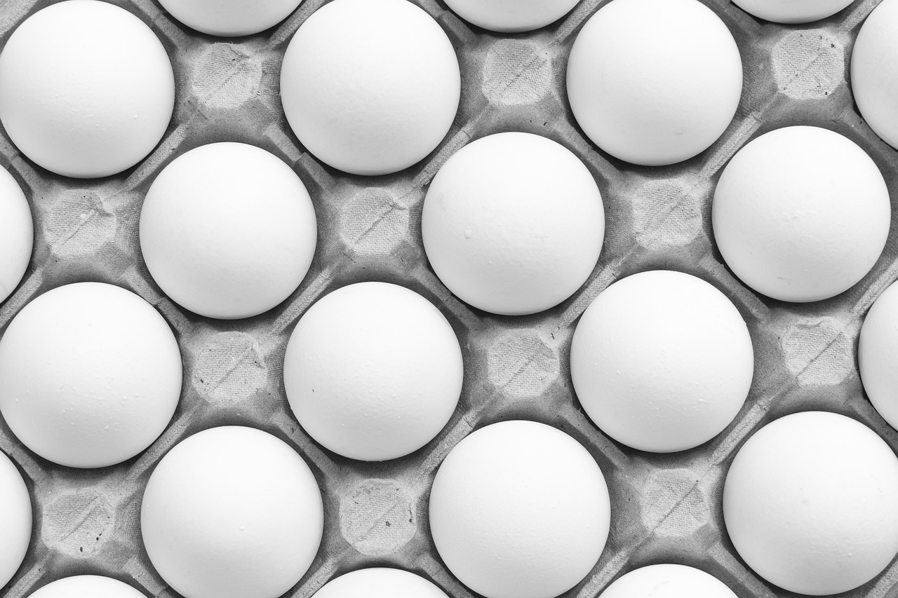 Sonhar com ovo branco: 5 interpretações que simbolizam novos começos