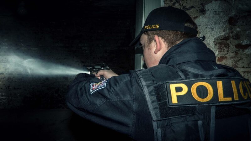 Sonhar com polícia: 5 significados que vão te deixar em alerta agora