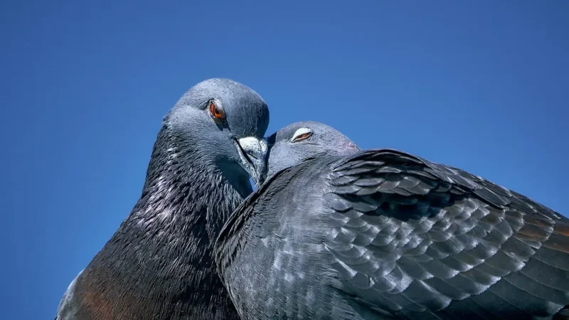 Atitudes silenciosas que podem minar seu relacionamento sem que você perceba