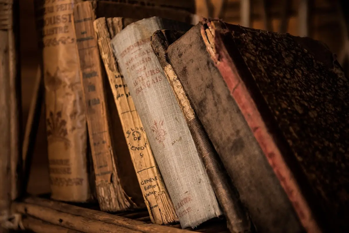 Prazo para participar da consulta do novo Plano Nacional do Livro e Leitura termina em 8 de agosto