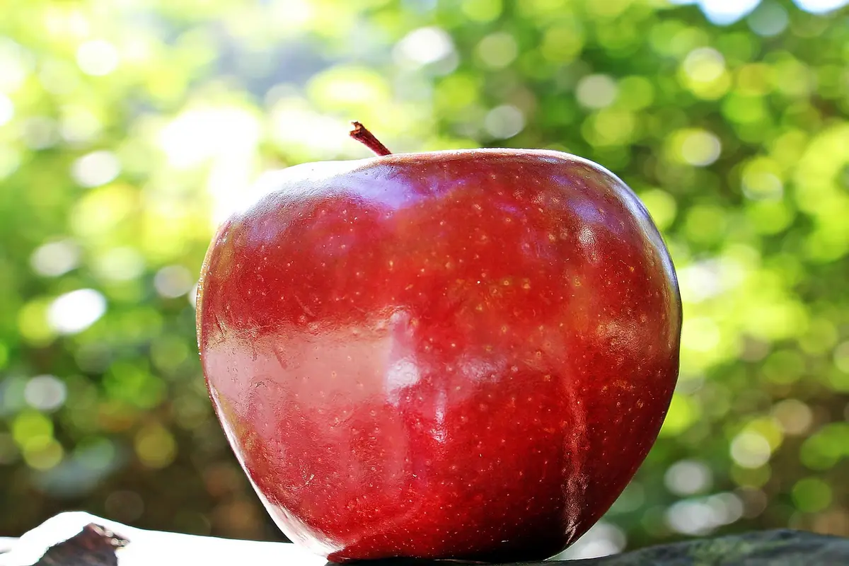 Descubra o Surpreendente Significado de Sonhar com Maçã! 🍎💤