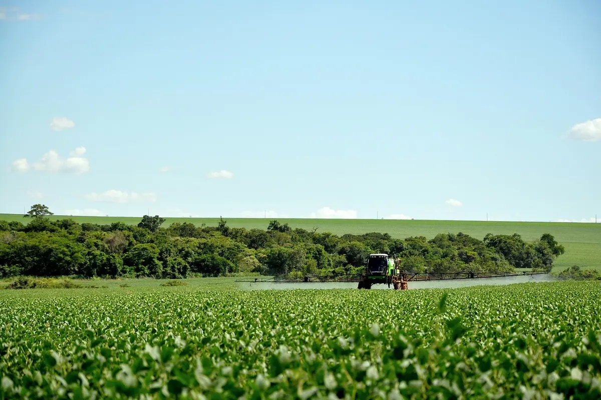 Setor do agro alerta para risco nas colheitas e incentiva diálogo do governo com os EUA