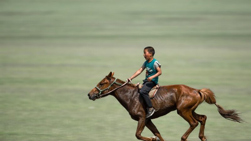 Sonhar caindo do cavalo: 5 sinais de perda de controle que exigem atenção
