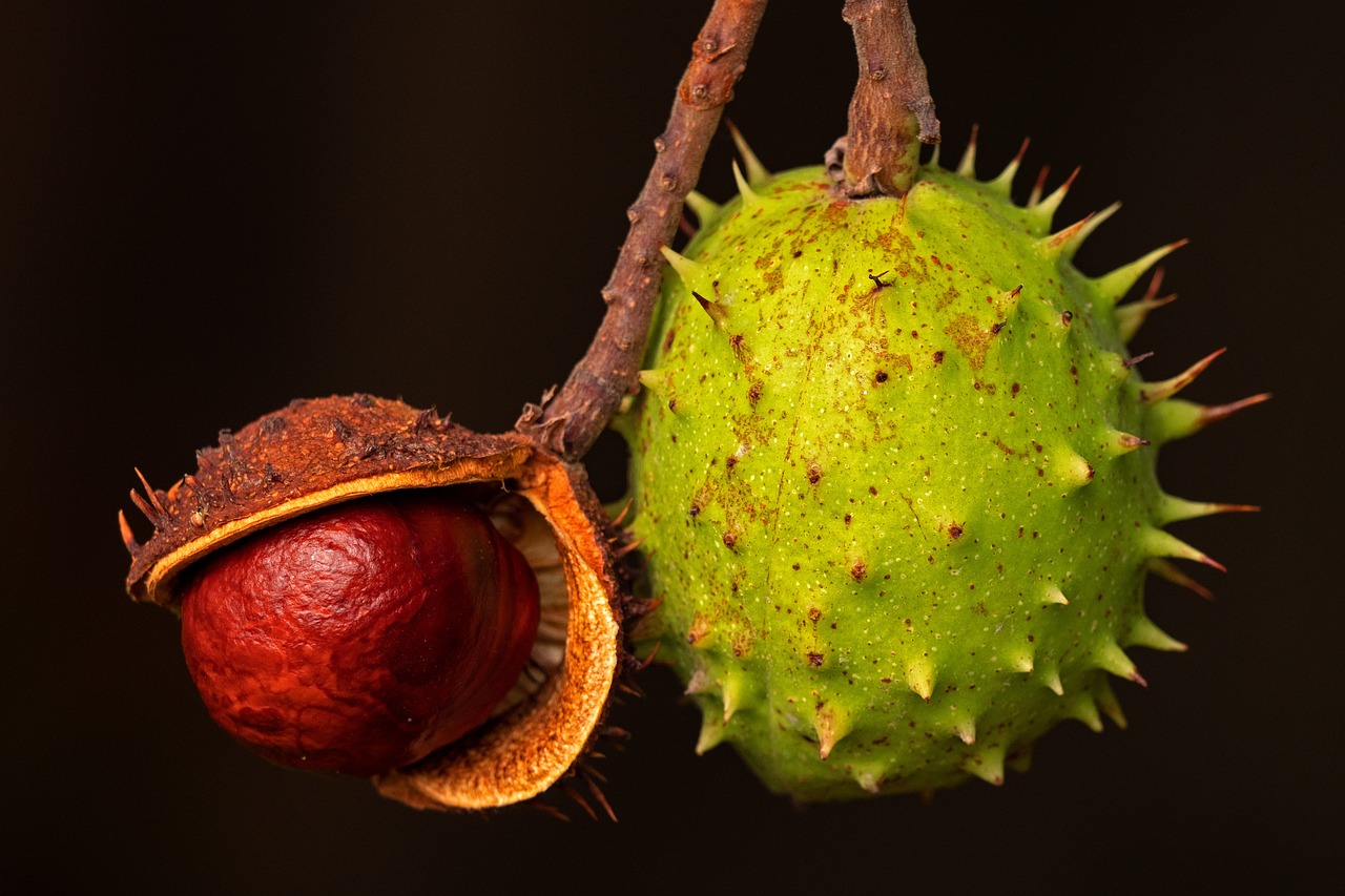 Sonhar com frutas amarelas: 5 sinais de prosperidade que estão chegando