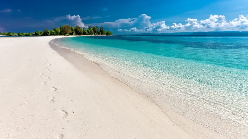 Sonhar com praia: 5 desejos do subconsciente que vão te surpreender