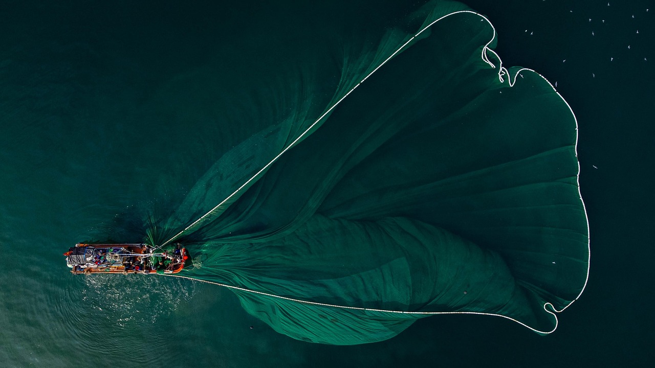 Sonhar pescando: 5 interpretações que revelam sua busca por objetivos