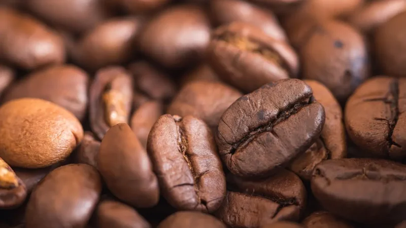 Transforme Sua Rotina com Estas Maravilhas da Moagem de Café