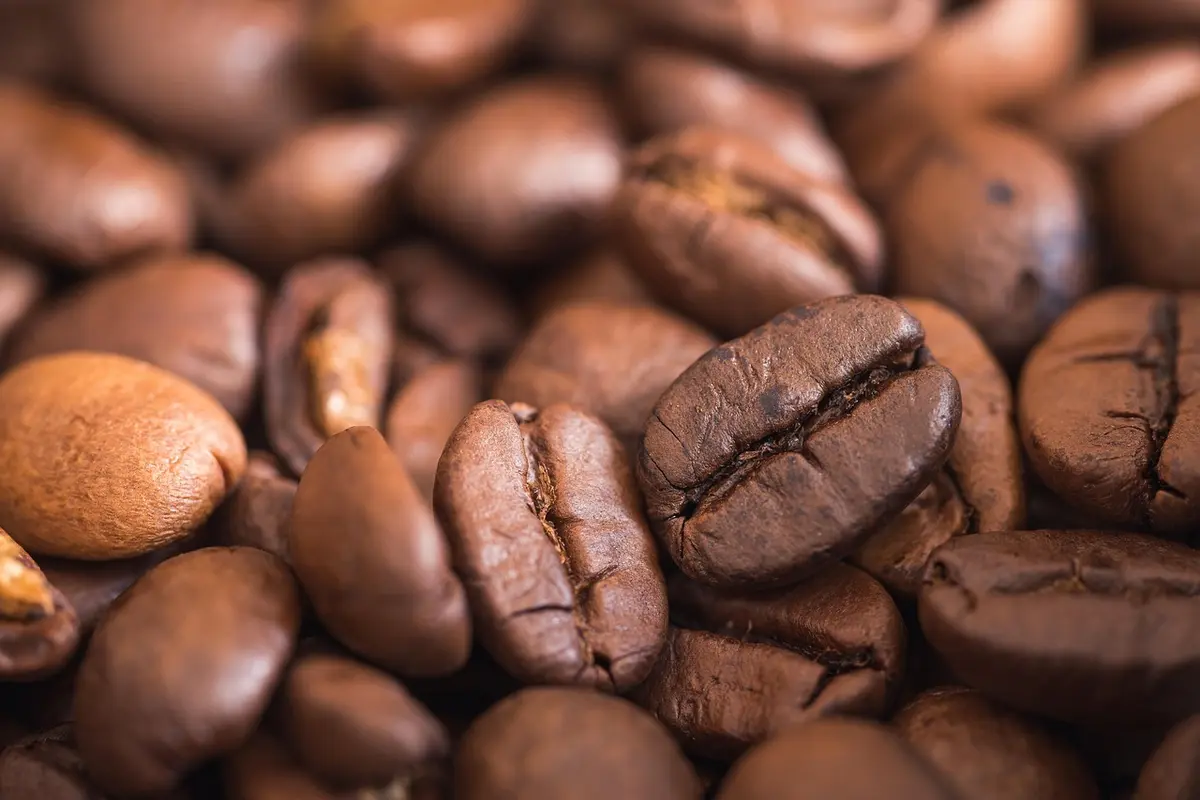 Transforme Sua Rotina com Estas Maravilhas da Moagem de Café