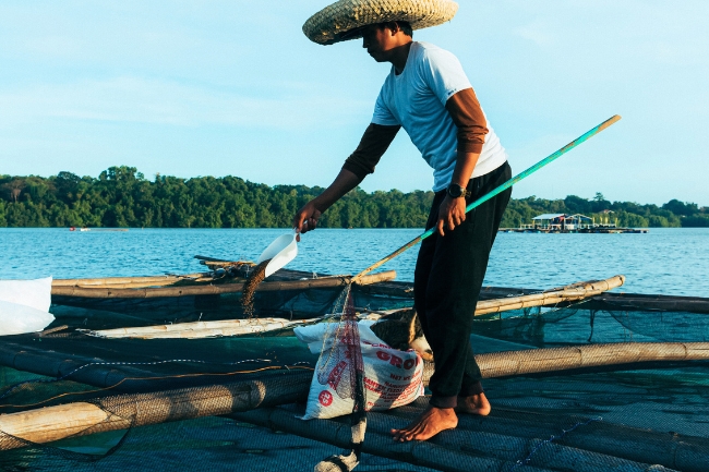 Sonhar pescando: 5 interpretações que revelam sua busca por objetivos