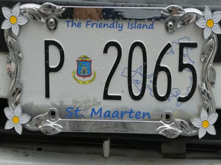 Guia Completo para Desvendar Mistérios por Trás das Placas de Carros