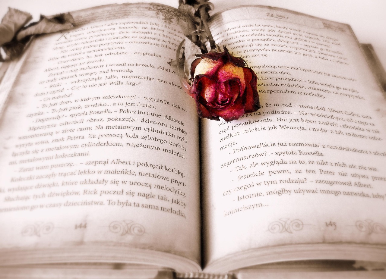 Kama Sutra: tradução e curiosidades do livro