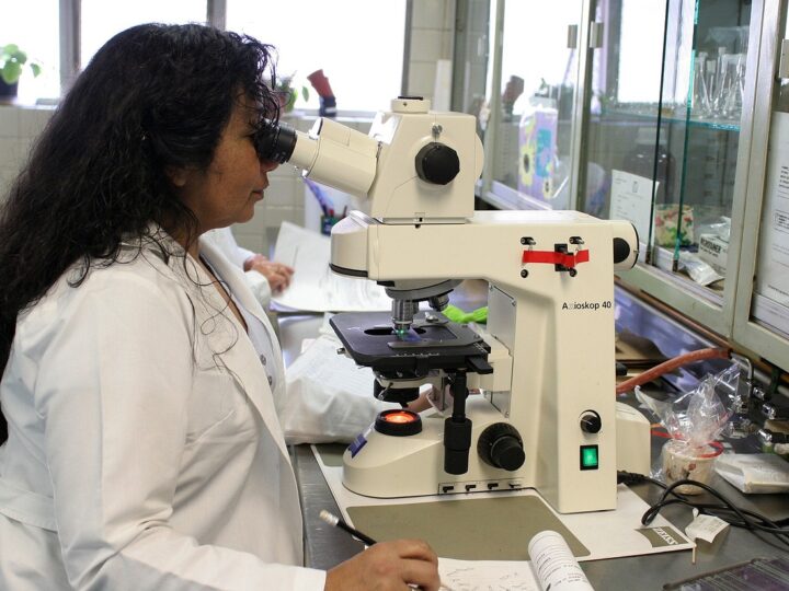 Cientistas negros que revolucionaram a ciência