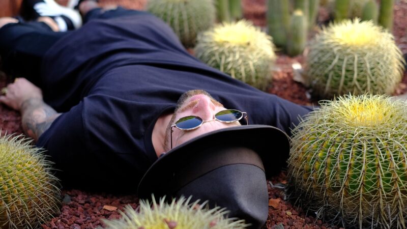 Embalsamar um corpo: como funciona o processo