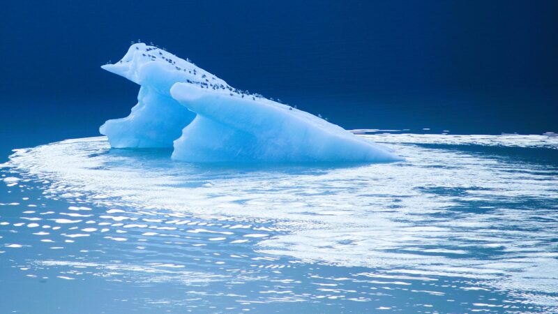 Geleiras gigantes: importância e riscos do derretimento