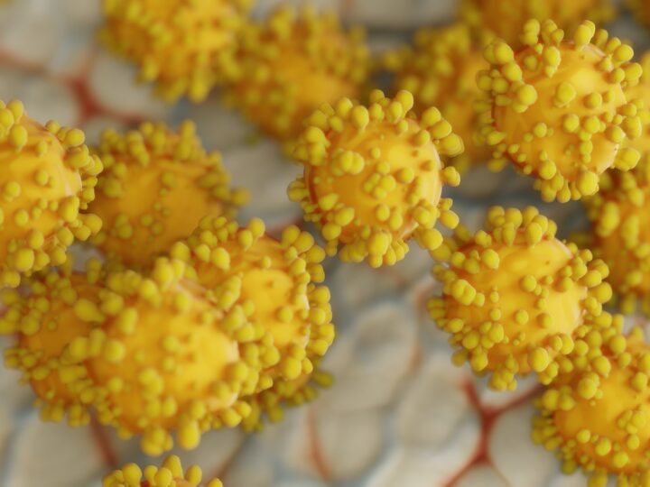 Germes e bactérias: diferenças e perigos