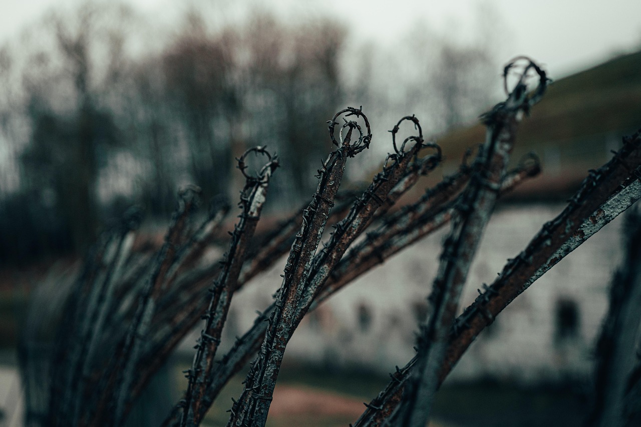 Gulag: o sistema de prisões da União Soviética