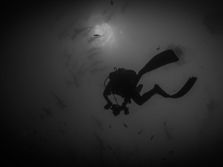 Mergulhos profundos: riscos e recordes