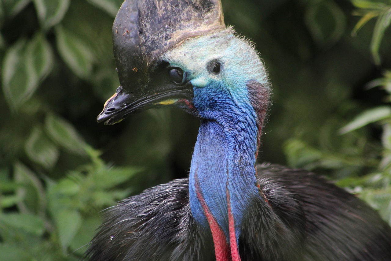 Dinossauros aquáticos: quais realmente existiram