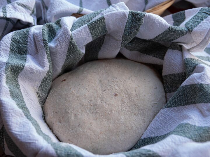 Fermento biológico: como funciona