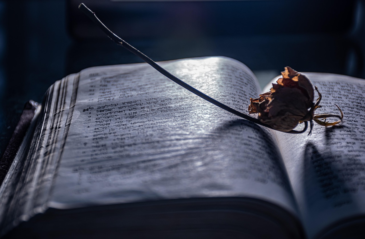 Livros de ocultismo mais famosos