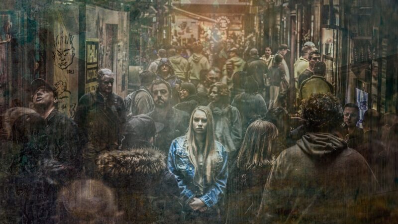 Pinel: significado e origem do termo