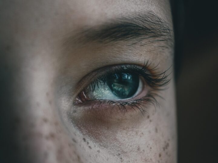 WhatsApp GB consegue ver status bloqueado Descubra a verdade