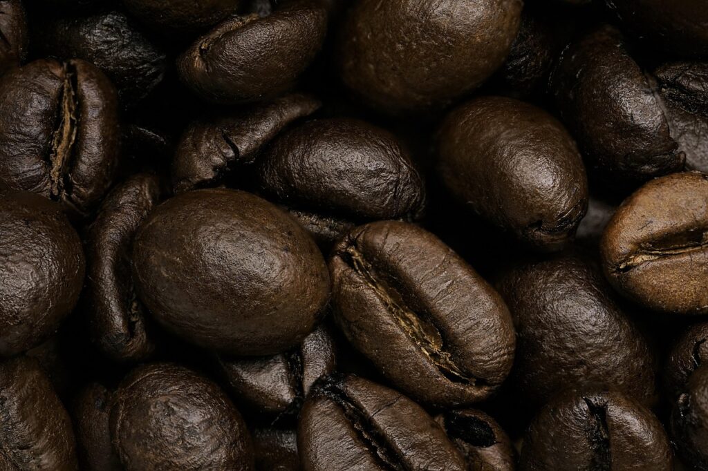 20 mil pés de café produzem quantas sacas Veja a média - sbemrevista.com.br