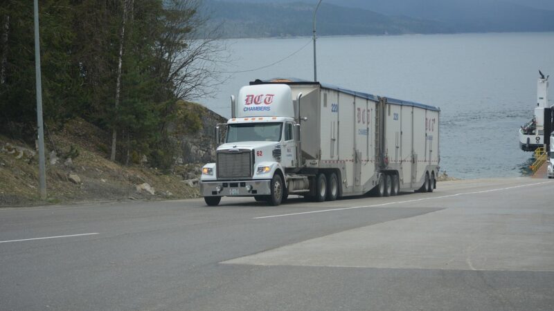 MDF-e autorizado com CT-e (órgão autor: AN): O que significa