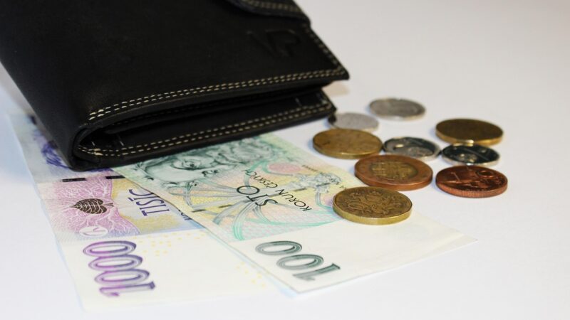 Quem ganha 1900 recebe quanto por dia?