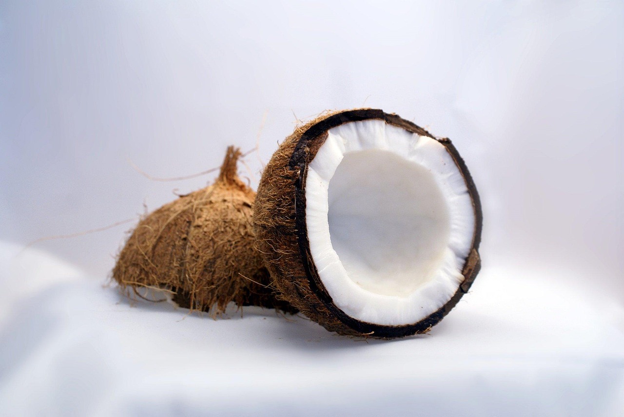 Baiana Maria do Coco: História e curiosidades