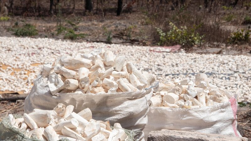 Farinha de mandioca é alimento não perecível?