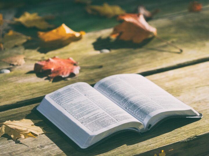 Segundo livro mais vendido do mundo