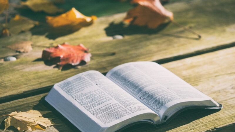 Segundo livro mais vendido do mundo